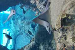 IMG-20210831-WA0000