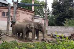 IMG-20210831-WA0002