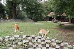 IMG-20210831-WA0005