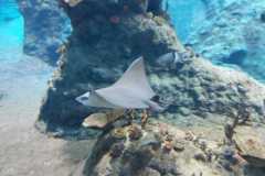 IMG-20210831-WA0012