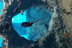 IMG-20210831-WA0013