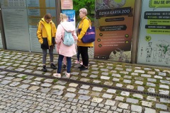 IMG_20210824_110152
