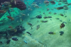 IMG_20210824_111610