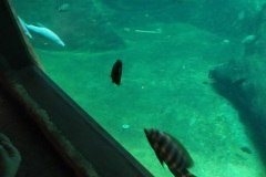 IMG_20210824_111641