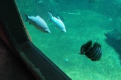 IMG_20210824_111644
