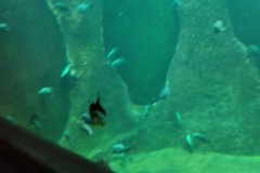 IMG_20210824_111655